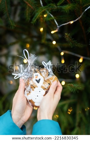 A woman holds gingerbread in the form of a cartoon snowman in her hands on the background of a green Christmas tree outdoors. Selective focus, noise.The concept of winter holidays, sweets and coziness