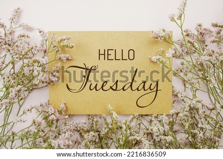 Hello Tuesday written on paper card with flower frame decoraton on pink background