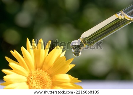 Pipette with drop of calendula oil against green leaves as natural background with copy space. Herbal cosmetic oil for skincare. Homemade calendula beauty products. Selective focus