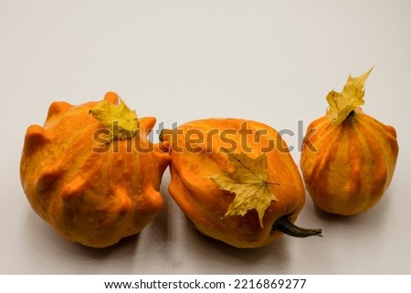 orange pumpkins and leaves on a white background