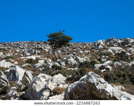 Rocks, stones and a lone tree in arid Greek landscape. Attavyros mountain. Rhodes island, Greece.