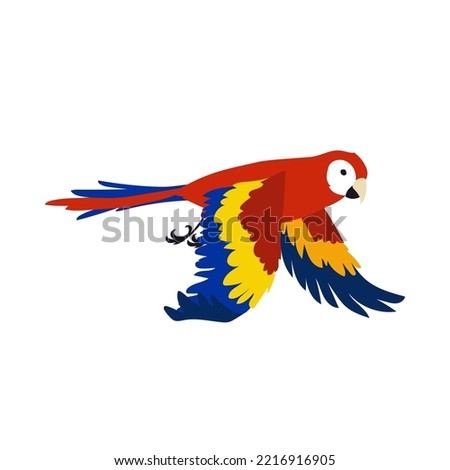 Colorful ara flying vector illustration. Bird flapping wings, movements of wings. Red tropical parrot flying in sky isolated on white background. Animal, motion concept Royalty-Free Stock Photo #2216916905