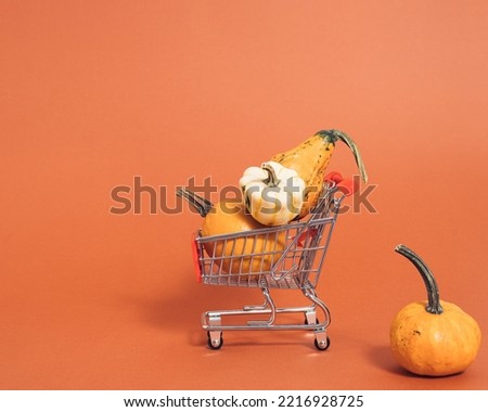 Shopping cart full of pumpkin on orange background. Minimal colorful autumn concept. Creative fall idea perfect design for thanksgiving. Shopping colorful nature fall season.