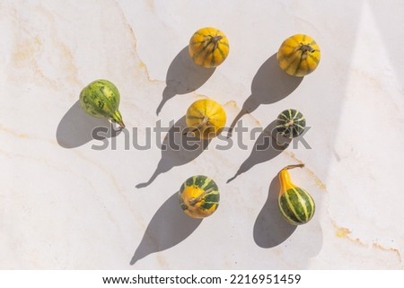 Colourful mini pumpkins on white background, top view, flat lay. Dark shadow. Halloween or Thanksgiving celebration.