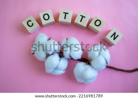 Cotton and cubes with letters on a pink background. A branch of cotton and cubes with letters on a pink background close-up.