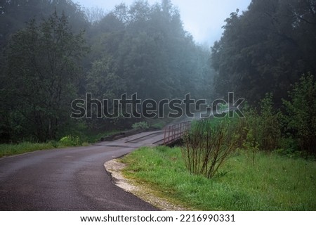 The road going into the fog. Forest road. Mystical landscape.