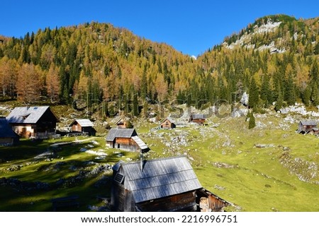View of Dedno Polje mountain pasture in Julian alps and Triglav national park, Gorenjska, Slovenia in autumn with conifer larch and spruce forest covering the hills behind