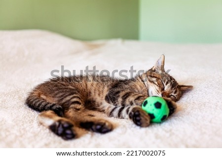 Kitten sleeping with a green ball