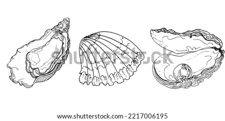 Sketch oyster with pearl and  shell.Hand drawing illustration.vector