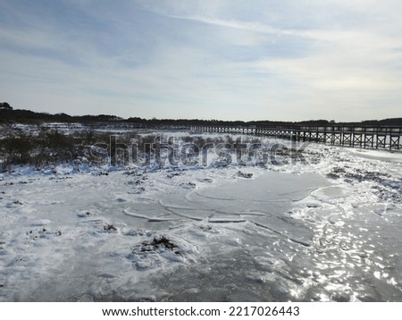 The tranquil beauty of the winter landscape of Assateague Island, in Worcester County, Maryland.