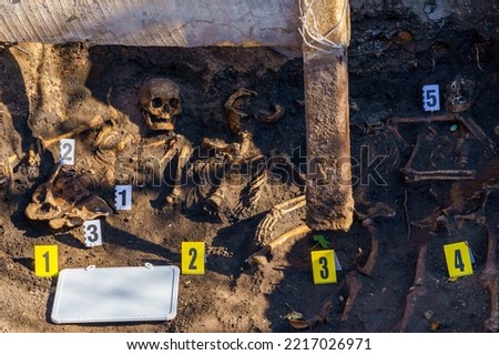 Human remains in the ground. Archaeological excavations of skulls and bones with forensic attributes for examination. Background with copy space for text or inscription Royalty-Free Stock Photo #2217026971