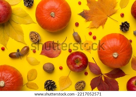 Festive autumn flat lay with pumpkins, berries and leaves on color background, top view.