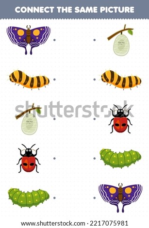 Education game for children connect the same picture of cute cartoon butterfly silkworm cocoon ladybug caterpillar printable bug worksheet
