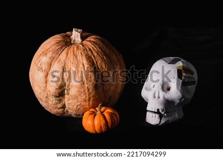 Pumpkins and a skull on a black isolated background for halloween or day of the dead.