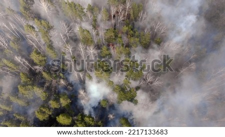 Aerial, tilt down, drone shot, overlooking trees in flames, Forest fires destroying and causing air pollution.