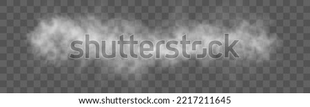 Сloud of smoke or fog isolated transparent special effect. Texture of steam or smoke for your design. White cloudiness, mist smog background. 3D realistic white foggy vapor. Vector illustration.	