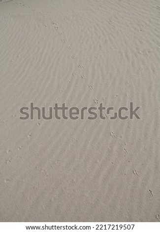 Untouched sand that forms patterns from the wind in nature on the sandy beach early in the morning before the day begins