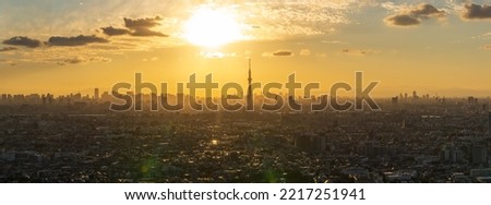 The Greater Tokyo are cityscape with Tokyo skytree illuminated by the Sun.