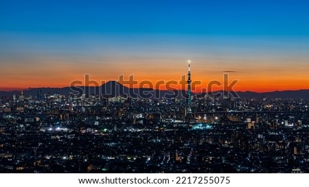 Greater Tokyo area cityscape with Tokyo skytree at magic hour.