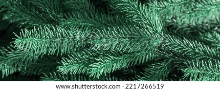 Green spruce branches. Fresh coniferous tree. Shallow depth of field.