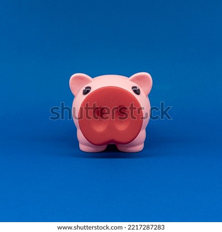 piggy bank in the shape of a pig on a blue background