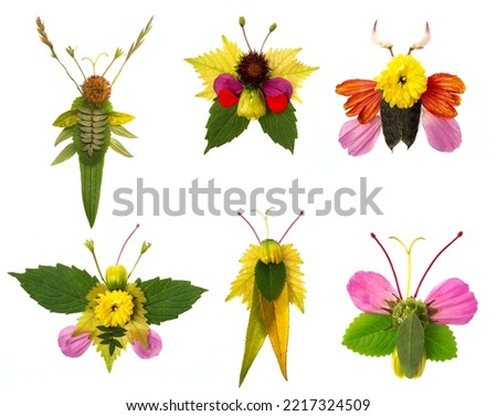 insect from leaves and flowers-  activity for kids, collage - set collection