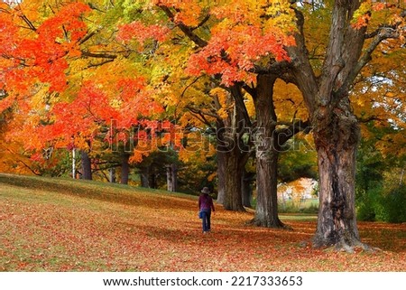 Beautiful Fall Foliage of New England, Boston, Massachusetts.
