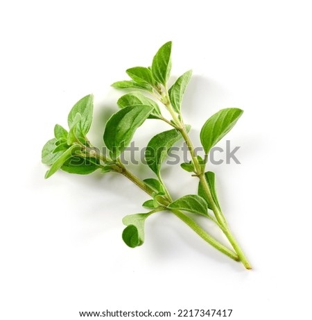 fresh green oregano leaves isolated on white background, top view Royalty-Free Stock Photo #2217347417