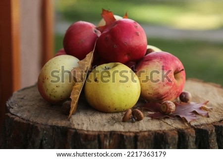 A small pile of ripe red and green apples are on an oak stump. Royalty-Free Stock Photo #2217363179