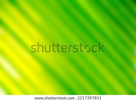Bright sunlight natural gradient background,Green leaf in garden at summer,Natural green colour background cover page greenery environment ecology wallpaper.