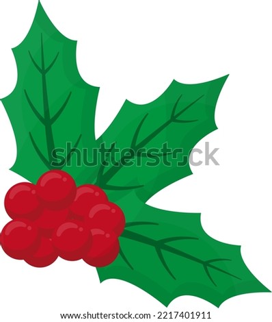 Vector illustration of wild berries with green leaves, Christmas natural decoration.