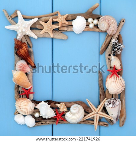 Sea shell selection and driftwood forming a frame over wooden blue background.