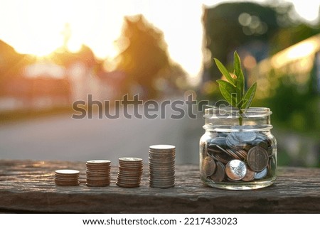 Plants Grow in Savings Coins concept of financial savings on nature background