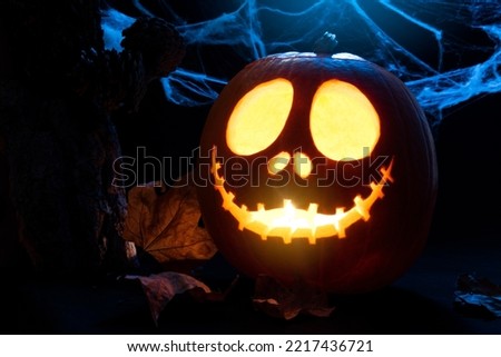 Cute halloween pumpkin and spiderweb arrangement

