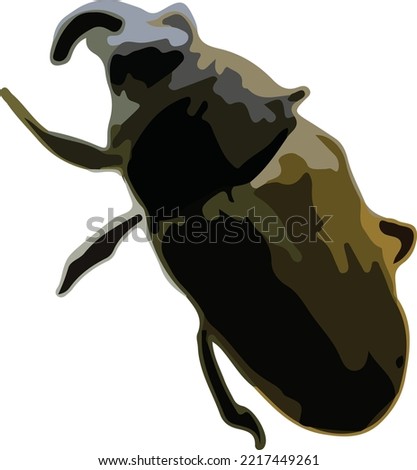 Beetle colored vector illustration logo graphic