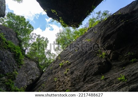 View from below from the crevice on the steep overhanging walls of rocks and trees against the sky Royalty-Free Stock Photo #2217488627