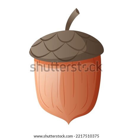 Drawing acorn isolated on the white background. Whole hazelnut or oak tree seed, nut. Shaped simple icon, picture, image, sticker, print, sketch. Symbol of autumn nature season. Vector illustration
