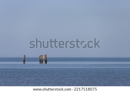 Wooden poles in the ocean