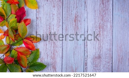 Blank fall-themed image with a text area of colorful autumn leaves and acorns on a wooden background.