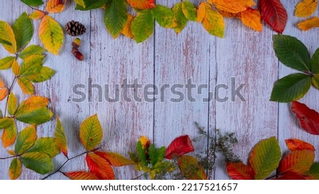 Blank fall-themed image with a text area of colorful autumn leaves and acorns on a wooden background.