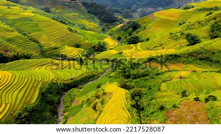 Majestic terraced fields in Mu Cang Chai district, Yen Bai province, Vietnam. Rice fields ready to be harvested in Northwest Vietnam.