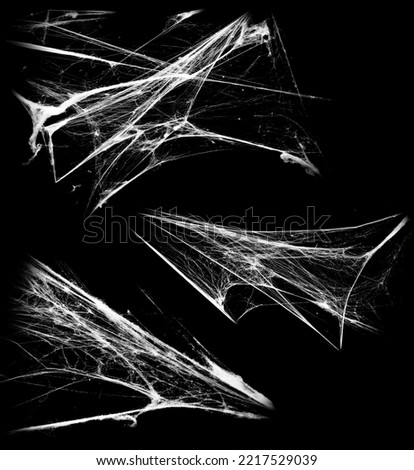 Overlay the cobweb effect. A collection of spider webs isolated on a black background. Spider web elements as decoration to the design. Halloween Props Royalty-Free Stock Photo #2217529039