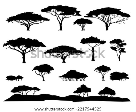 Set of plants. African savannah landscape. Silhouette picture. Africa acacia tree. Isolated on white background. Vector