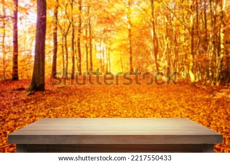 Autumn background and trees at falling season