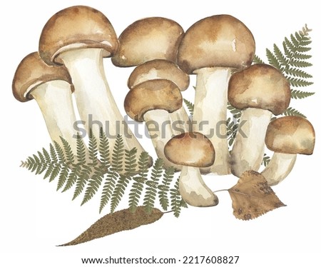Armillaria mellea with real fern leaves composition, honey fungus and autumn real leaves illustration. Hand drawn watercolor mushroom isolated on white background.