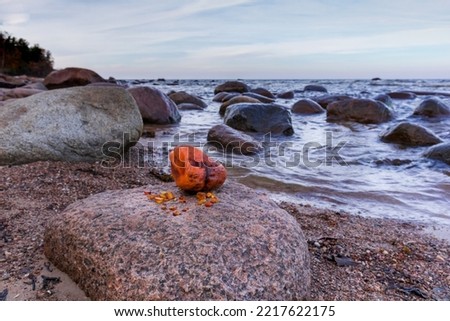 Huge bright yellow amber with sand, Baltic sea and rocks
