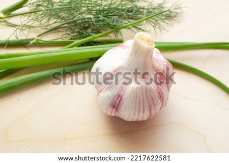 Raw garlic with dill and green onion on the wooden table background, close-up. Organic garlic for publication, poster, screensaver, wallpaper, postcard, banner, cover, post. Food cook rustic still
