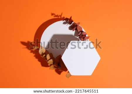 Scene for product presentation. Podiums of different geometric shapes and dry eucalyptus branches on orange background, top view