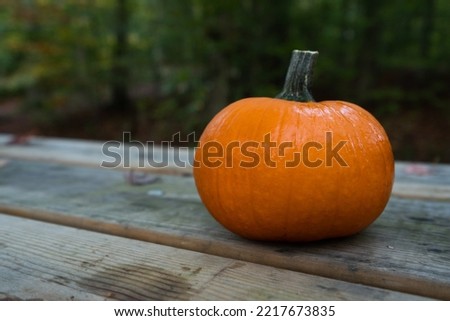 Pumpkin Picture. Perfect for holiday and halloween advertisements