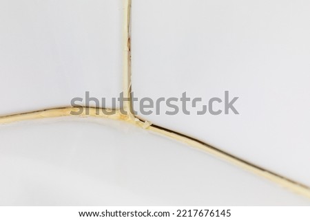 Moldy and old caulking in bathtub. Home repair, maintenance and mold problem concept. Royalty-Free Stock Photo #2217676145